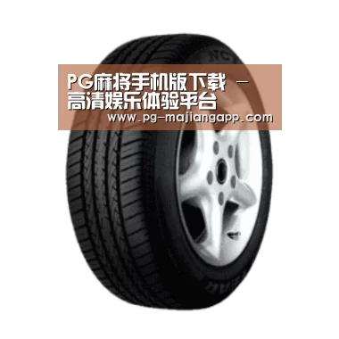 PG麻将手机版下载产品名称四